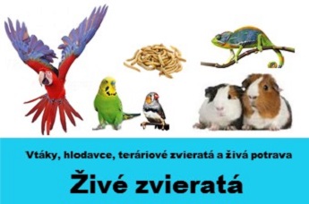 zive zvierata